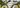 Bikepacking Packliste - Markenkoffer