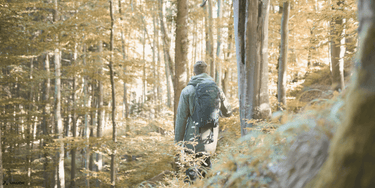 Nachhaltig reisen - Markenkoffer