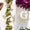 Guess - Markenkoffer