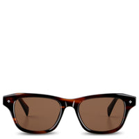 Brown Tortoise