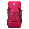 Delsey Paris Nomade - Rucksack 15" 43 cm L RIFD (paonie) - Markenkoffer