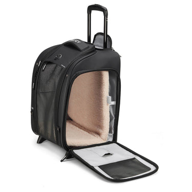 Delsey Paris Raspail - 2 - Rollen - Tiertrolley 48 cm nachhaltig (schwarz) - Markenkoffer