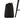 pacsafe Travelsafe 5L GII 41.5 cm - Schloss (black) - Markenkoffer