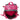 Travelite Basics - Rucksack 46 cm (pink) - Markenkoffer