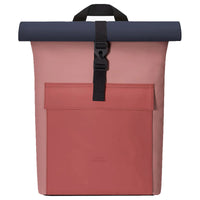 Hibiscus - Rose oscuro